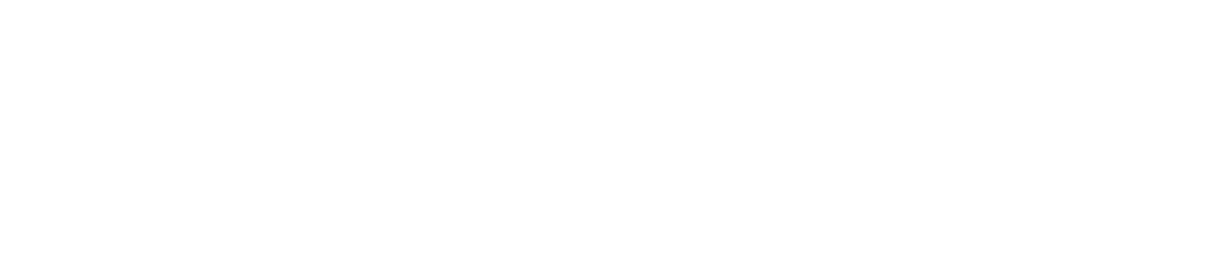 Xecute Team Logo